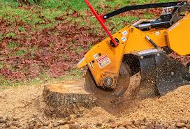 Leaf Removal Services in Enigma, GA